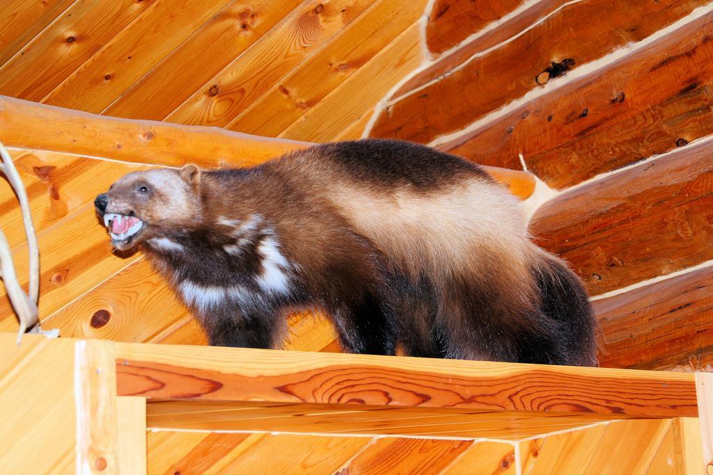 Lodge Wise Old Hunter