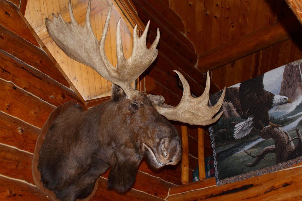 Wise Old Hunter *