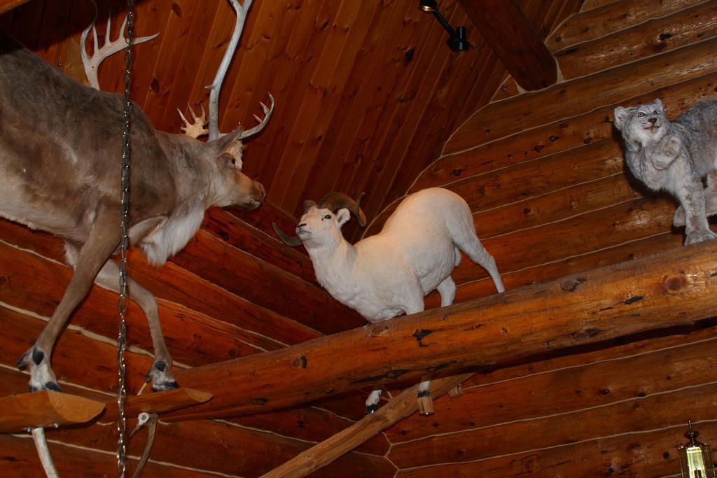 Wise Old Hunter Lodge *