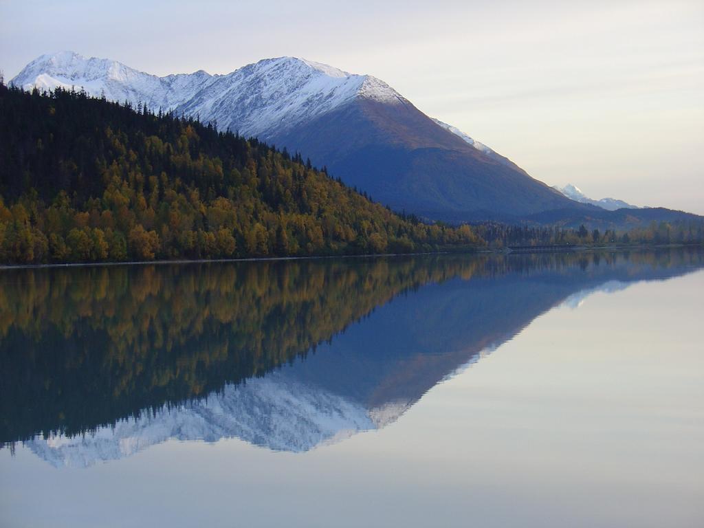 Arctic Paradise Seward