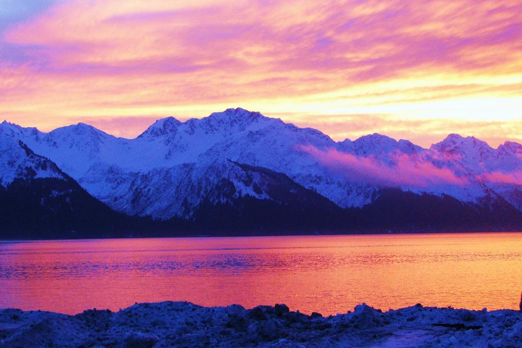 Arctic Paradise