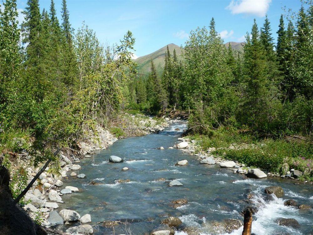 The Perch Resort Denali Park