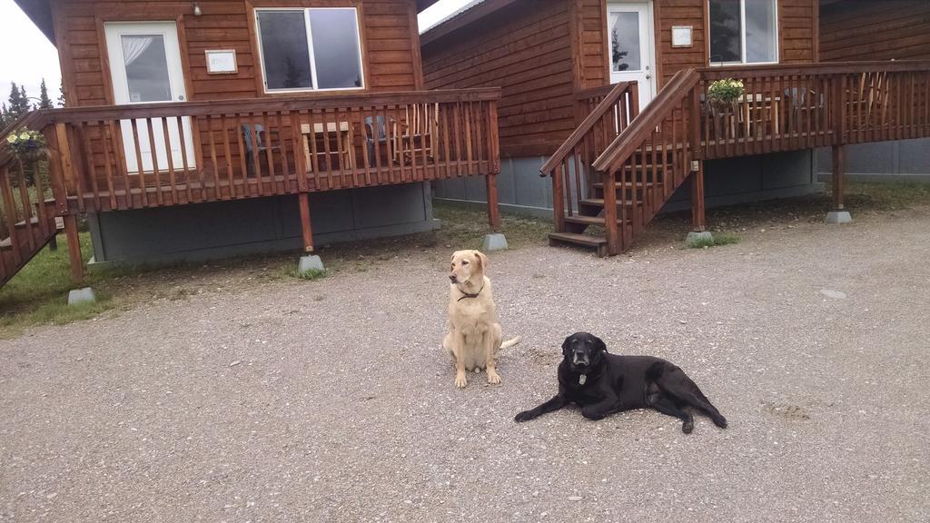 Holiday park Denali's Alaskan Spruce 3*