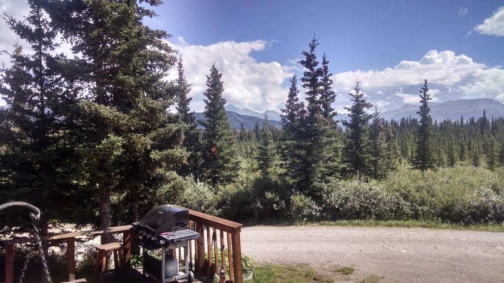 Holiday park Denali's Alaskan Spruce Healy