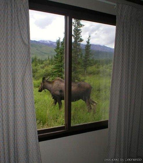 Denali Park Healy