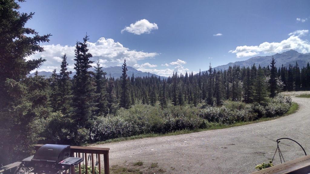 Holiday park Denali's Alaskan Spruce Healy
