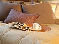 Sea Parrot Bed & Breakfast