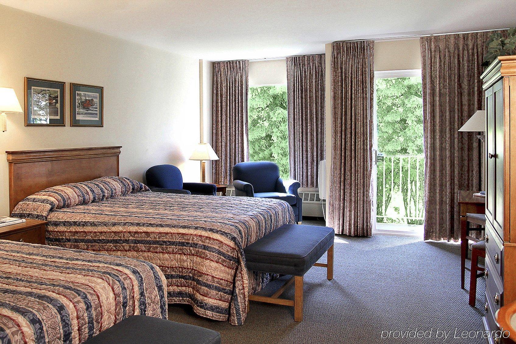 Hotel Bear *