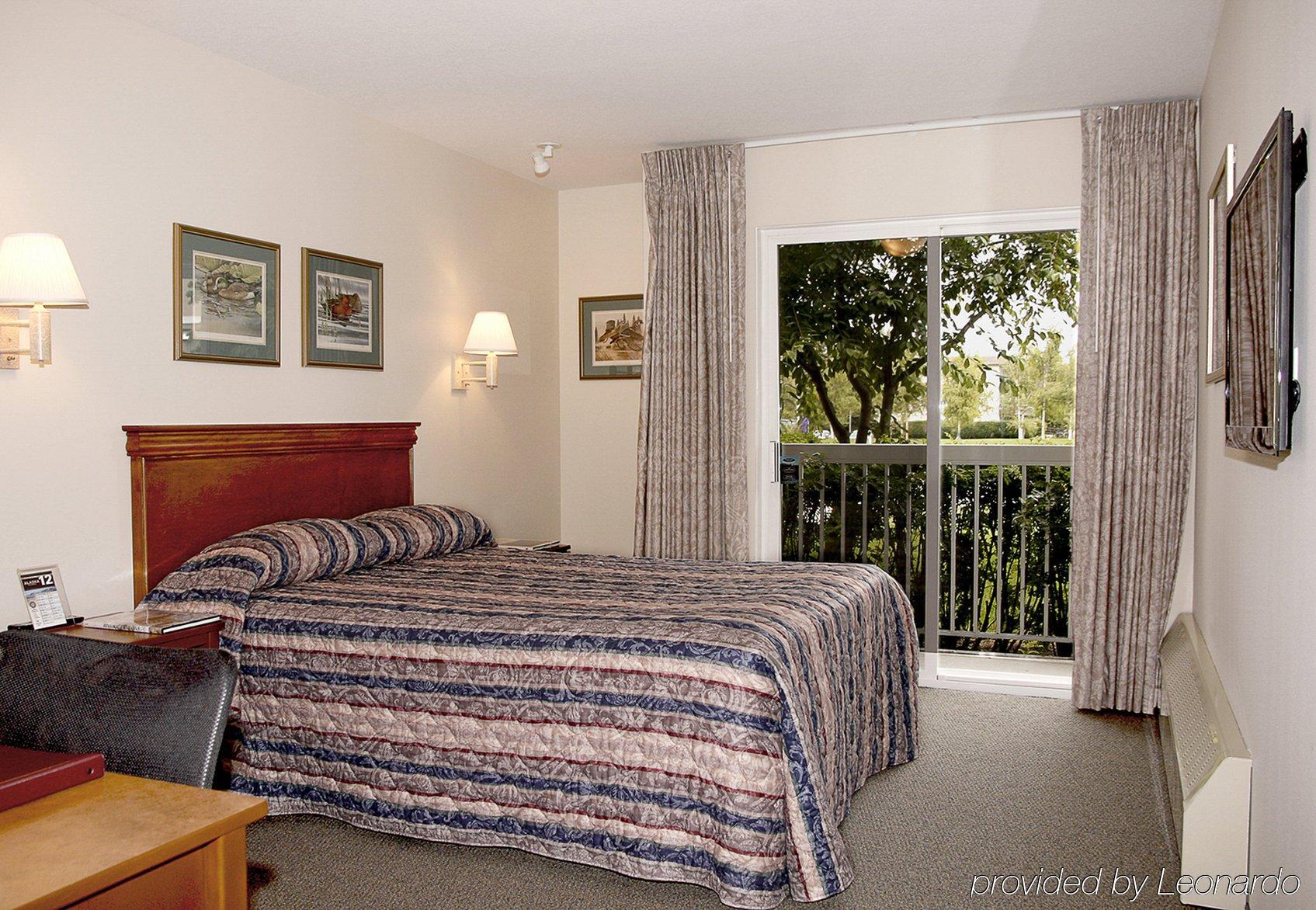 Hotel Bear