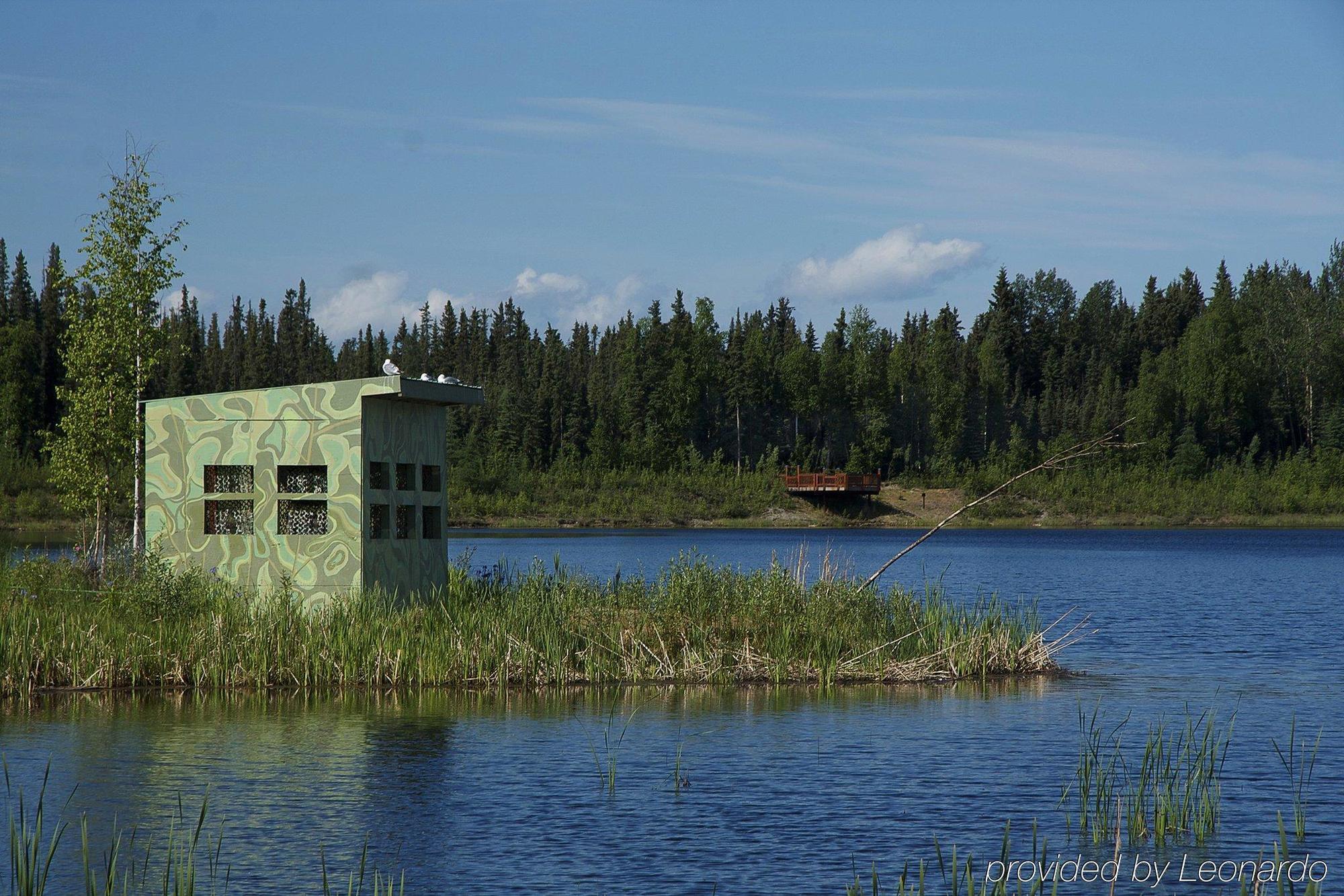 Bear Hotel Fairbanks