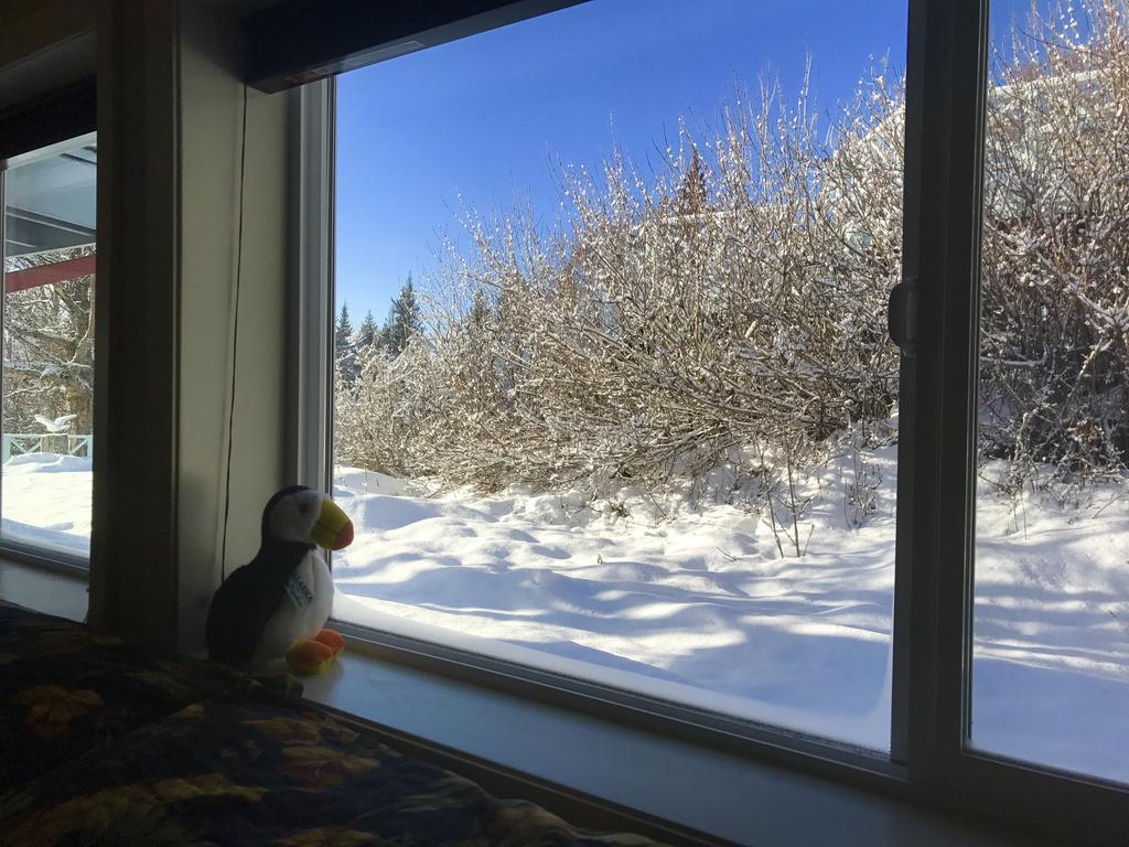 Halcyon Heights B&b/inn Homer