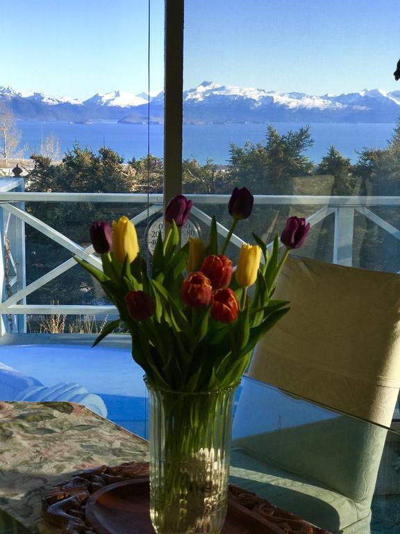 Bed & Breakfast Halcyon Heights B&b/inn 5*