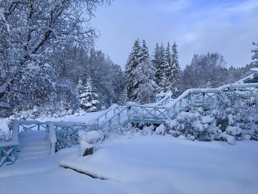 Bed & Breakfast Halcyon Heights B&b/inn Homer