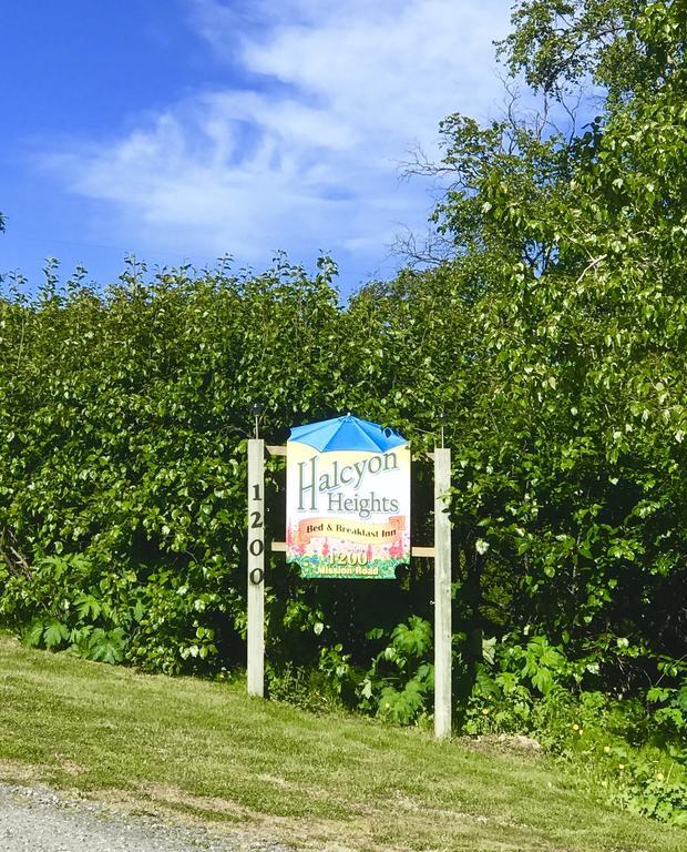 Halcyon Heights B&b/inn 5* Homer