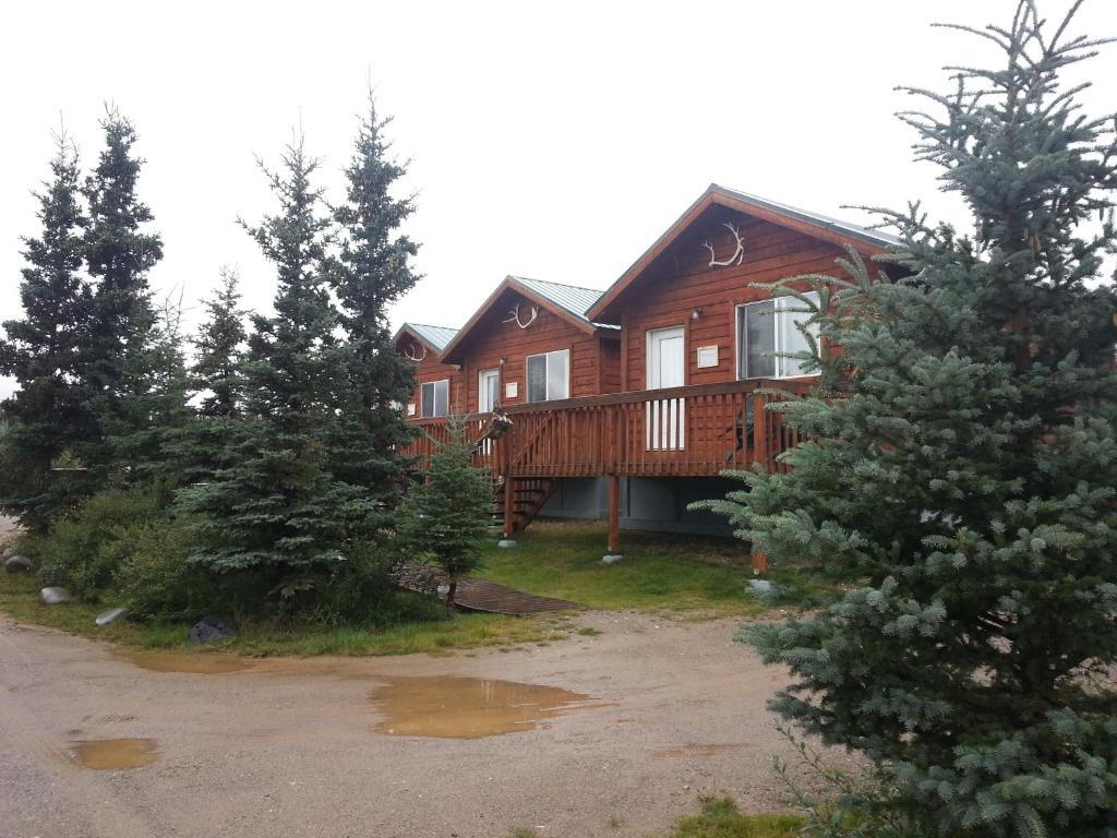 Denali's Alaskan Spruce Healy
