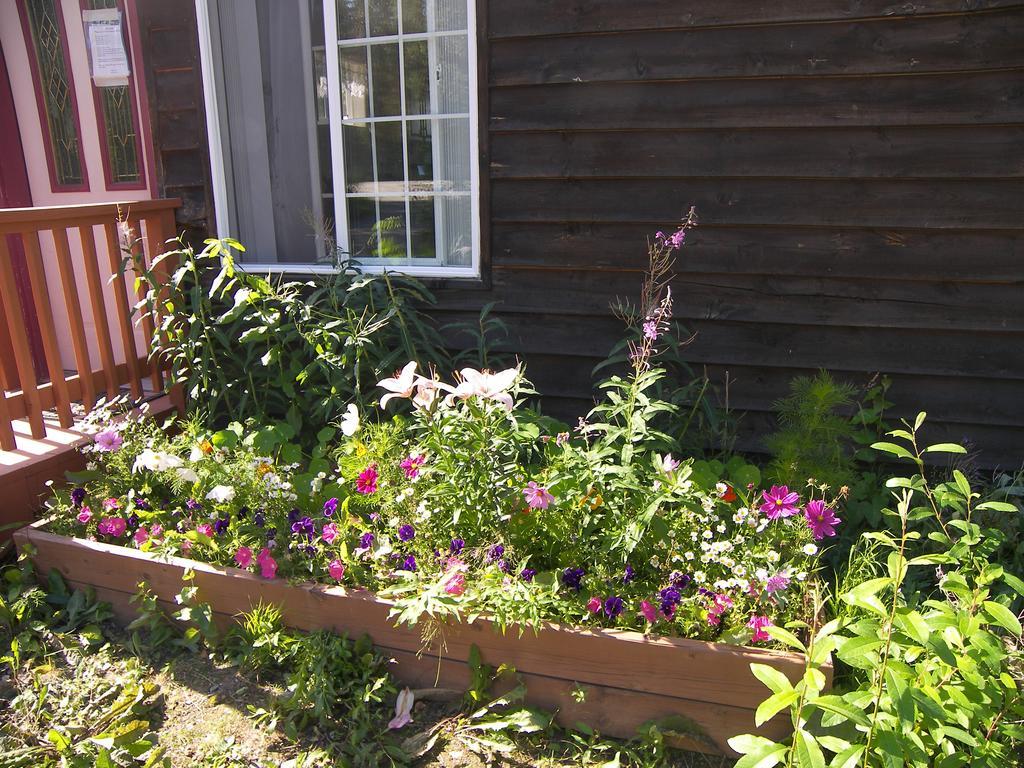 Grace And Bill's Freedom Hills 2* Talkeetna