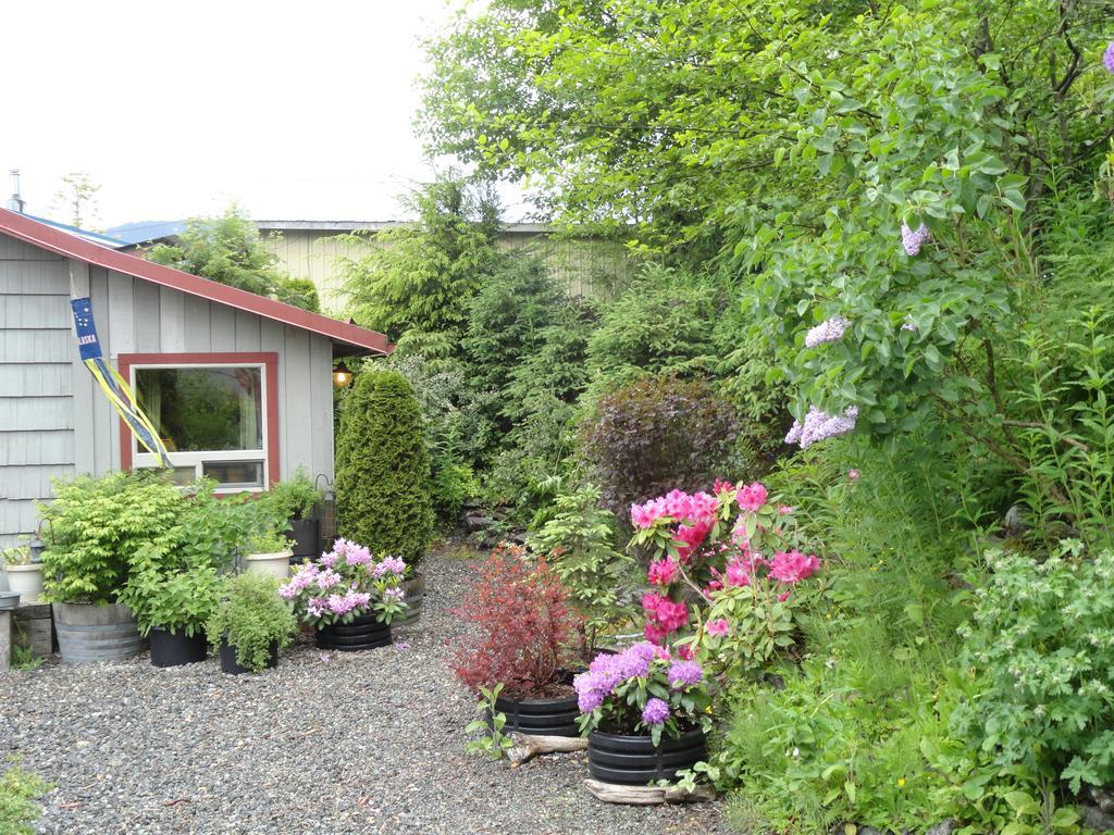 Bed & Breakfast Black Bear