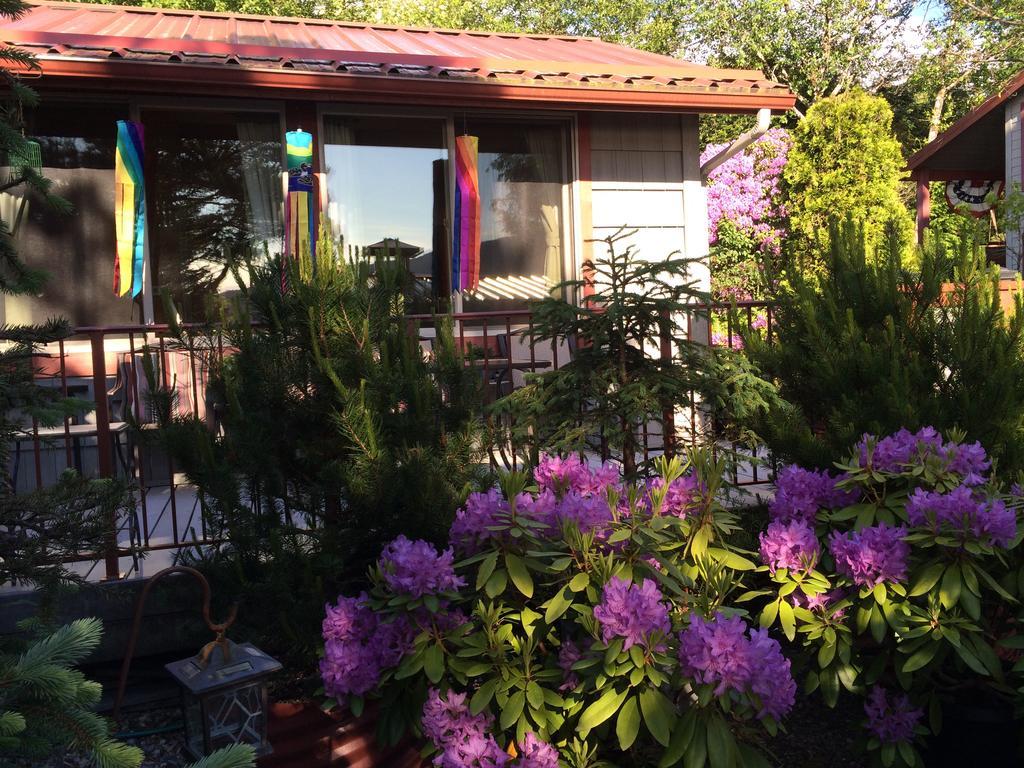 Bed & Breakfast Black Bear 3*