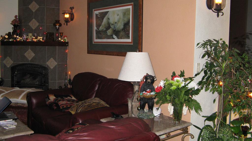 Bed & Breakfast Black Bear 3*