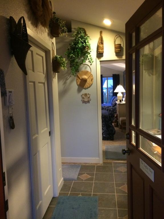 Bed & Breakfast Black Bear