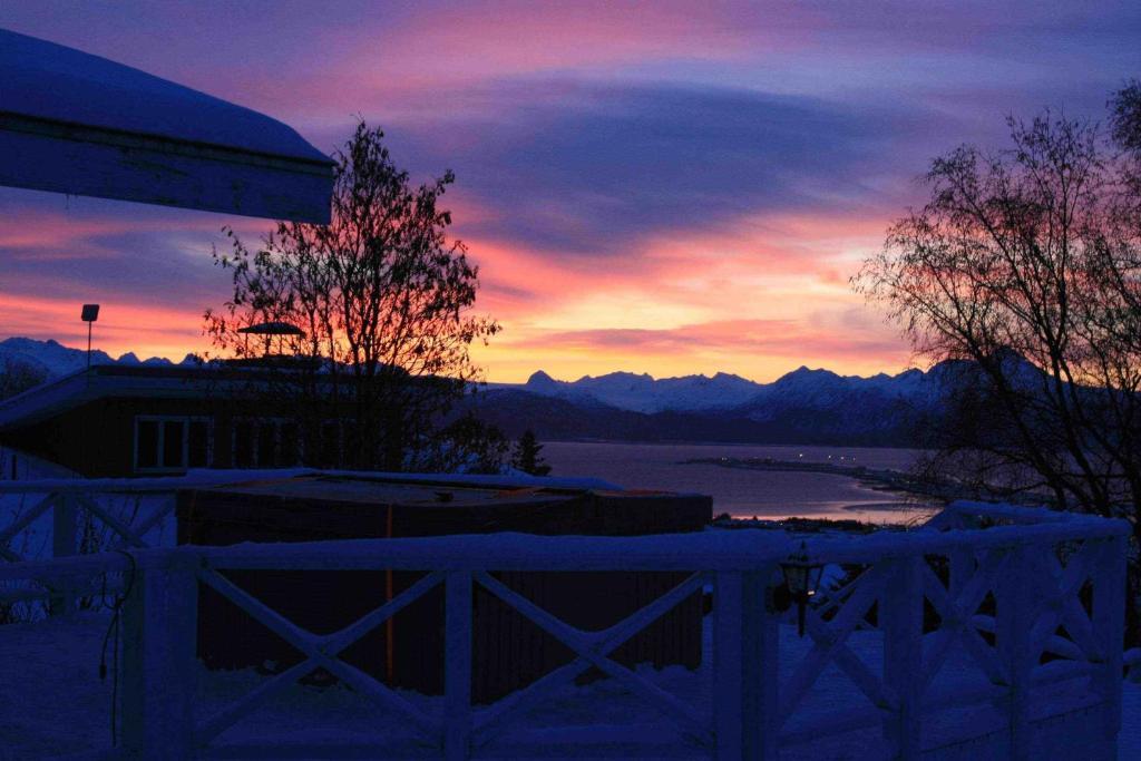 Halcyon Heights B&b/inn Bed & Breakfast Homer