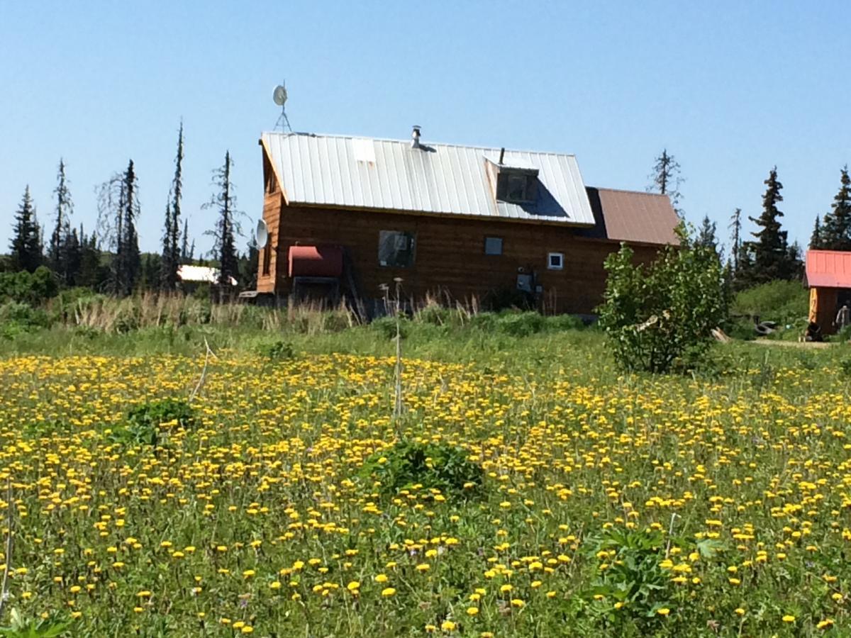 The Husky Ranch Country house Homer