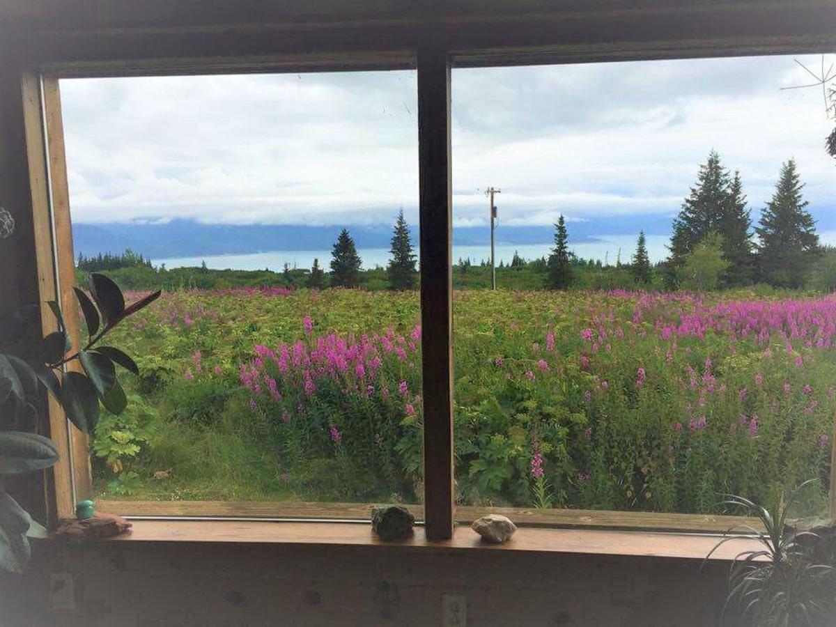 Country house The Husky Ranch Homer
