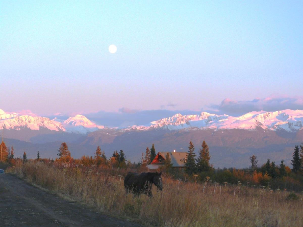 The Husky Ranch * Homer