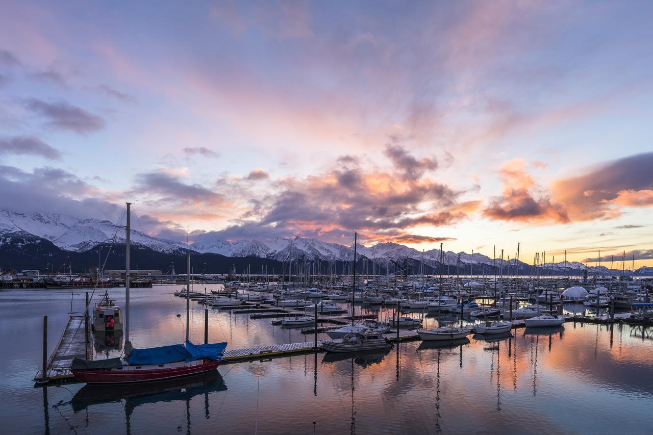 Harbor 360