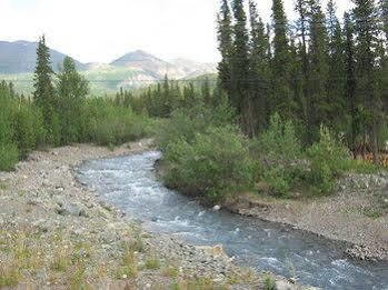 The Perch Resort Lodge *