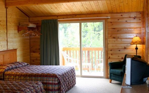 Lodge Denali Grizzly Bear *