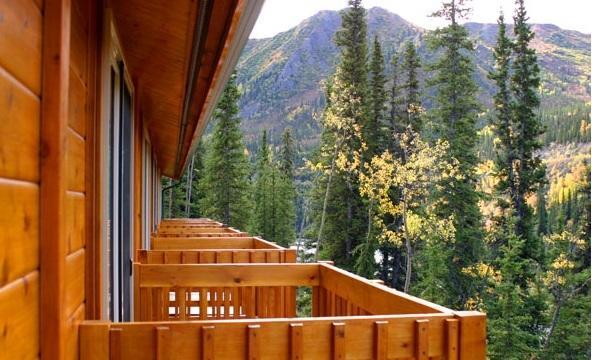 Lodge Denali Grizzly Bear *