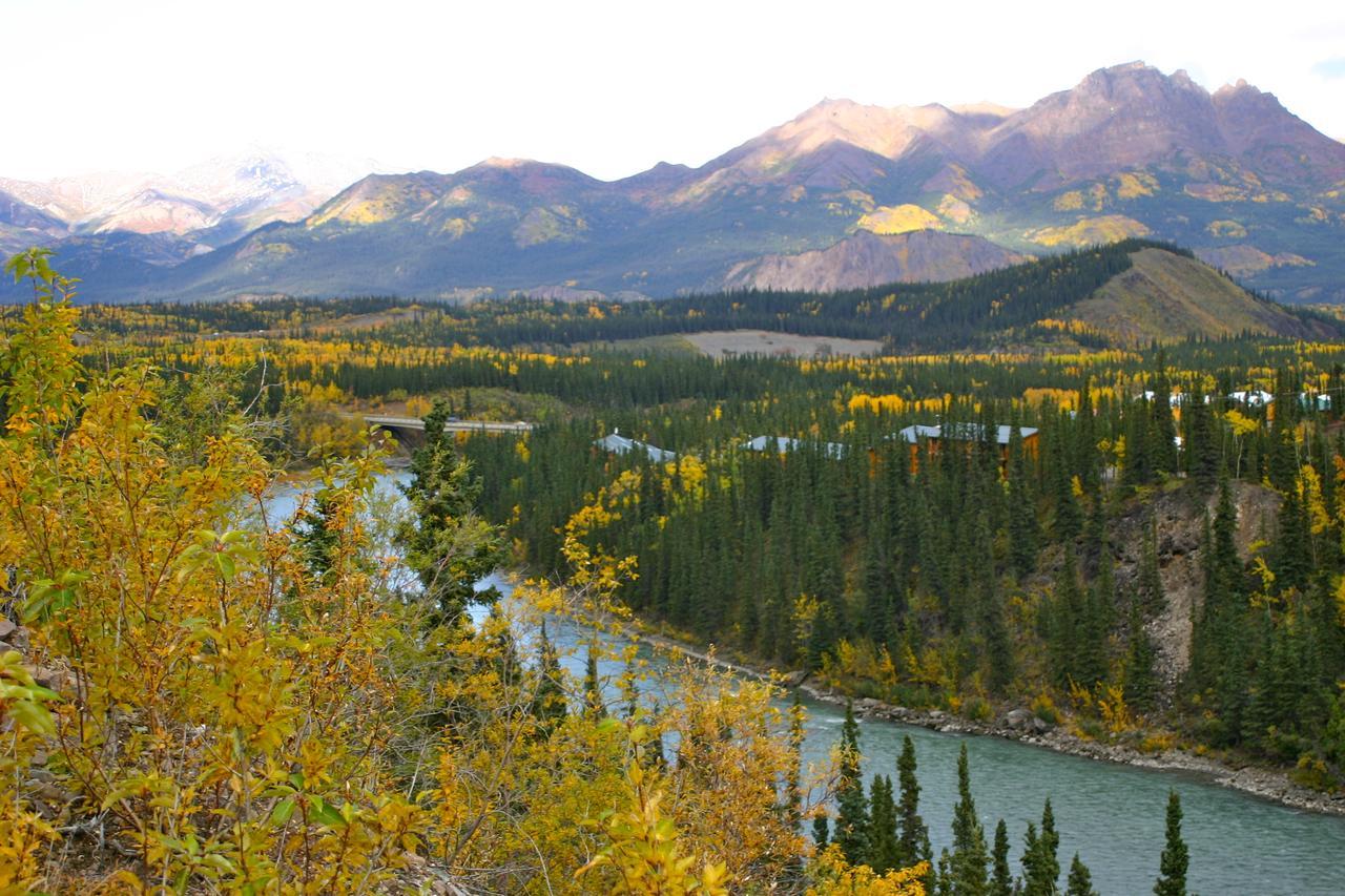 Lodge Denali Grizzly Bear