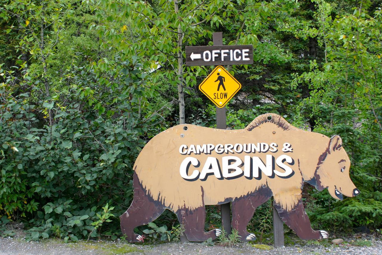 Lodge Denali Grizzly Bear *