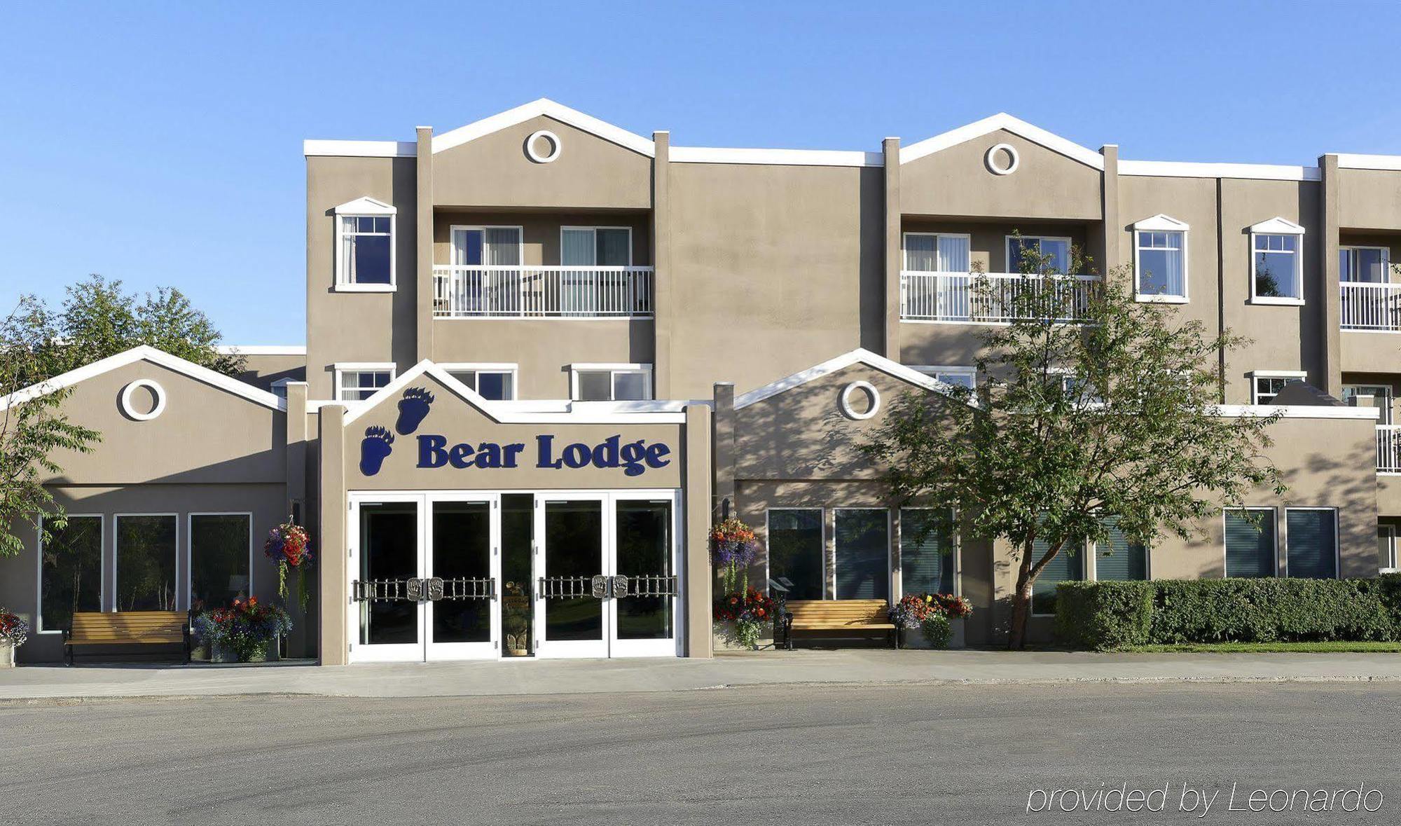 Hotel Bear