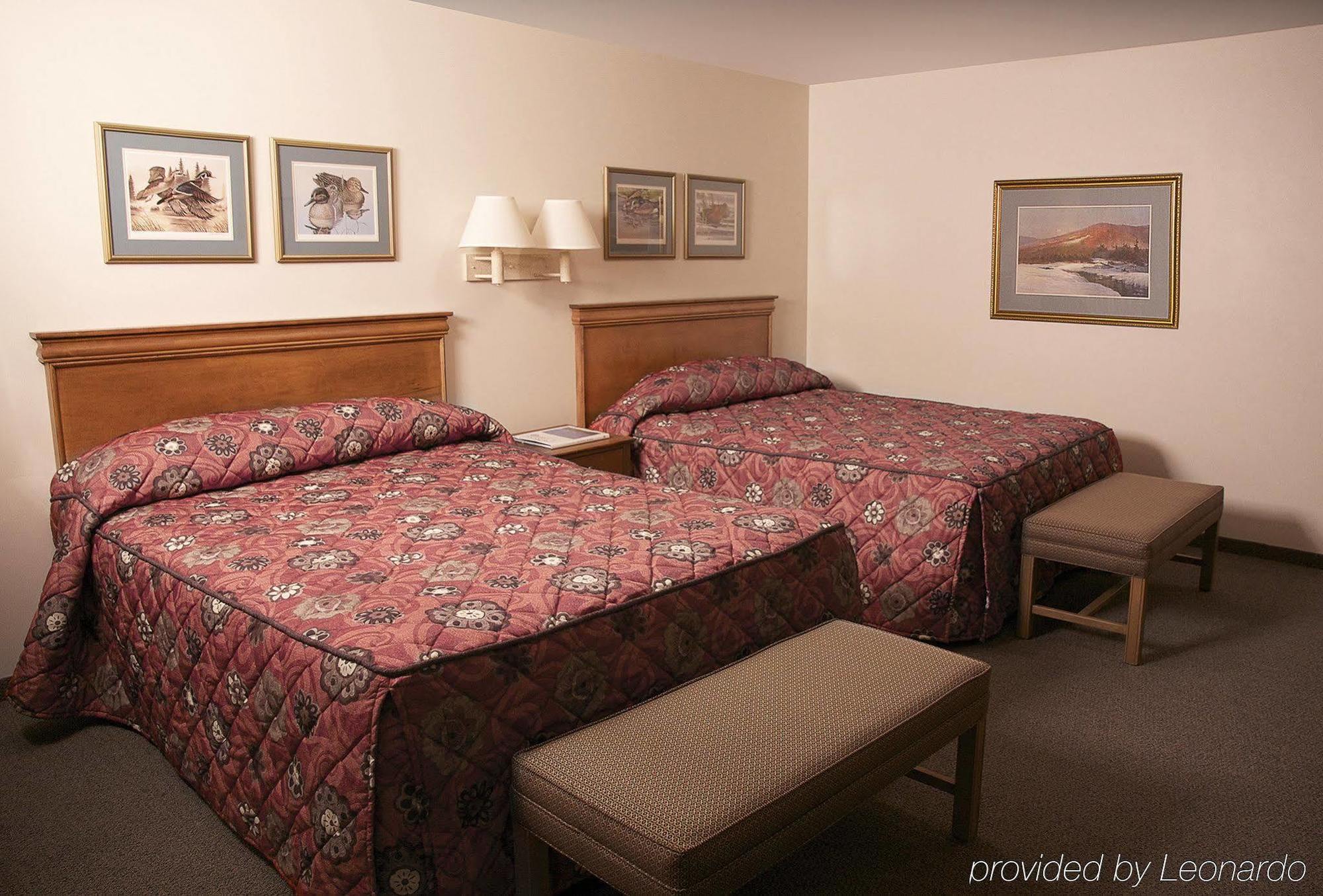 Hotel Bear *