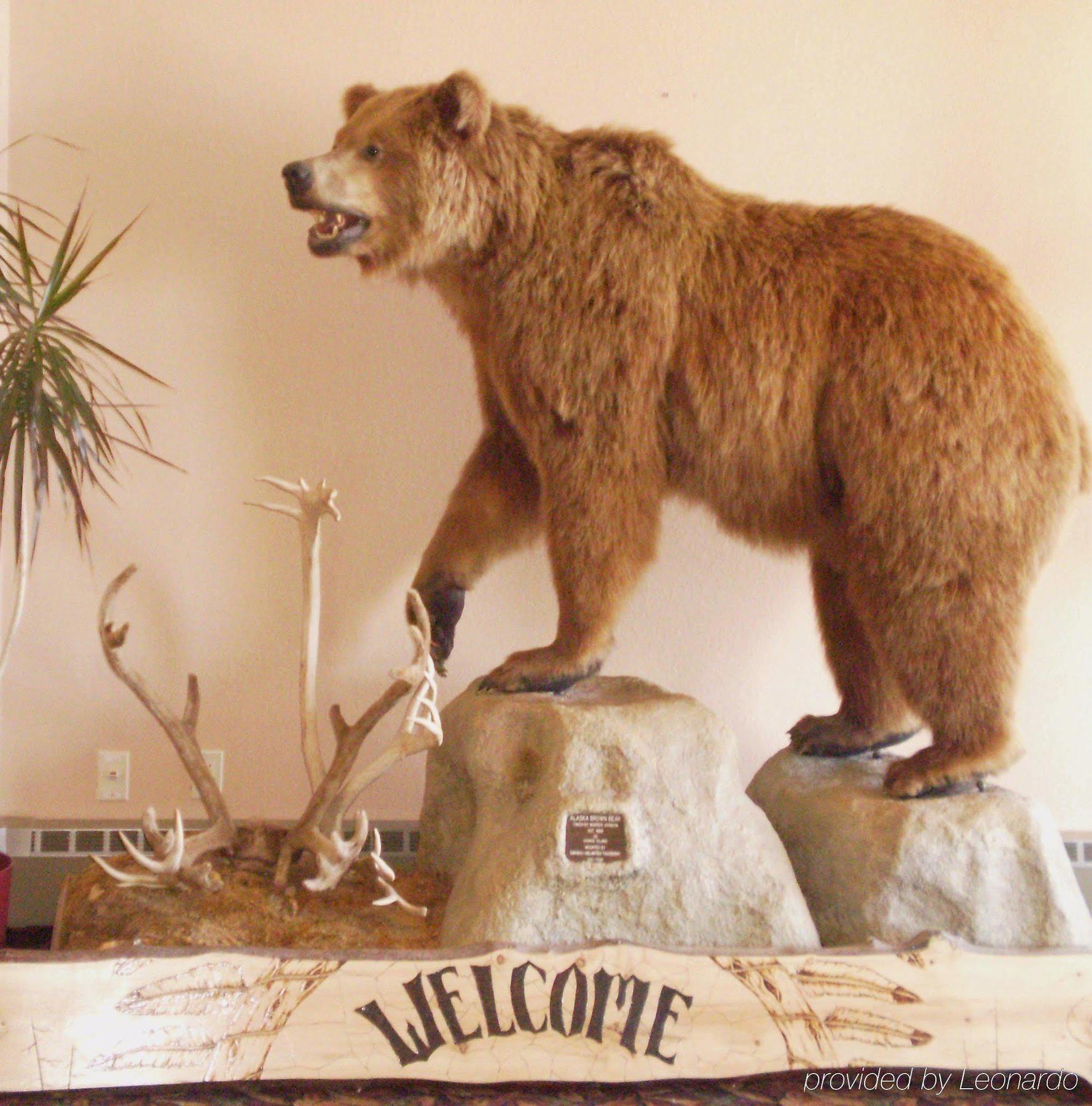 Airport Kenai