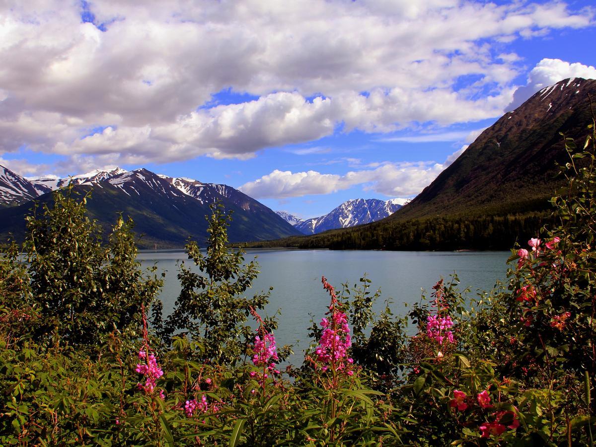 Reflection Lake * Anchorage