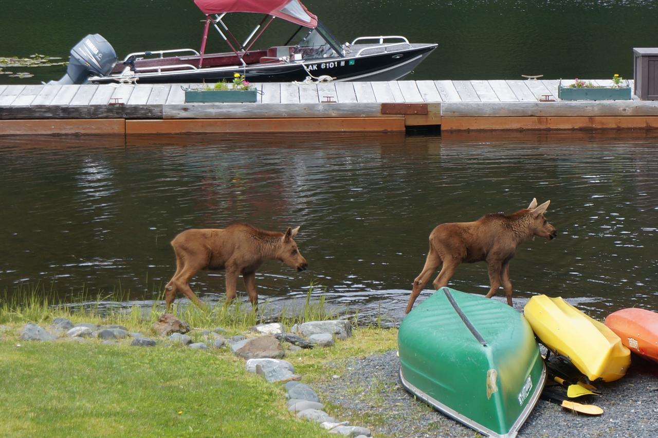 Bear B&b, Inc 3* Seward