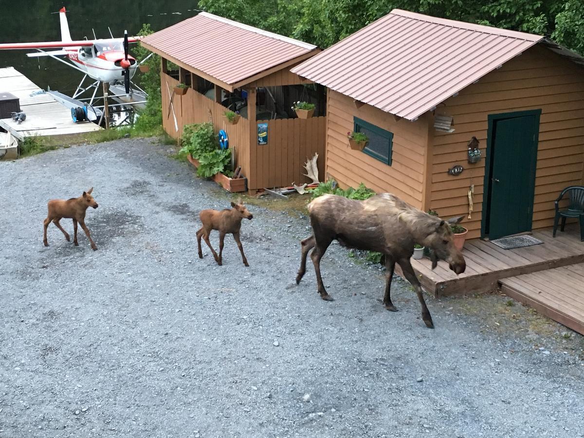 Bear B&b, Inc 3* Seward