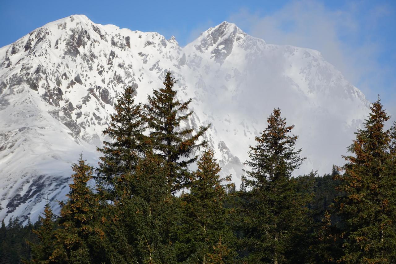 Bear B&b, Inc Bed & Breakfast Seward