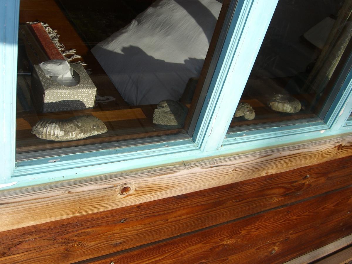 Bed & Breakfast Brigitte's Bavarian 4*