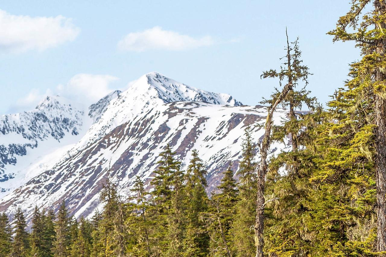 Crow Creek Girdwood