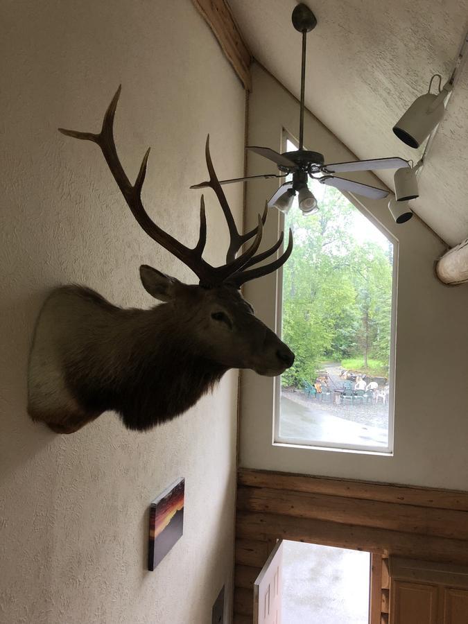 All Alaska Outdoors Lodge *