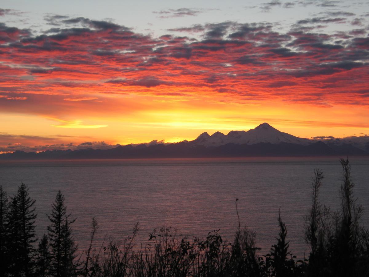 All Alaska Outdoors Lodge *