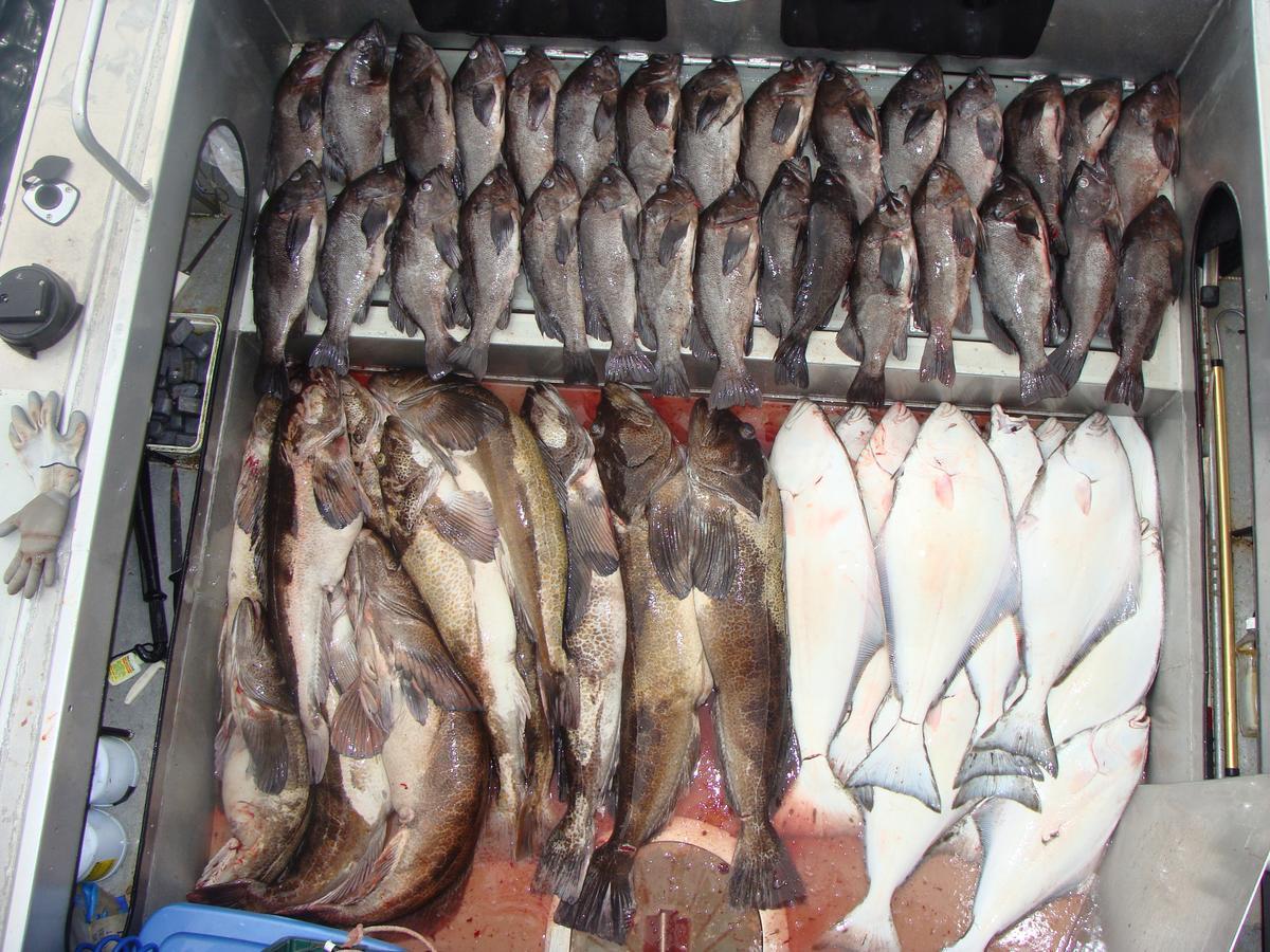 All Alaska Outdoors Lodge *