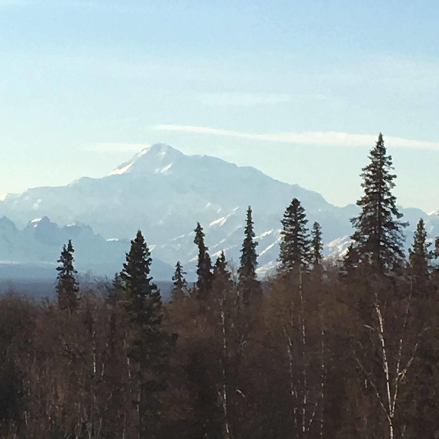 Grace And Bill's Freedom Hills 2* Talkeetna
