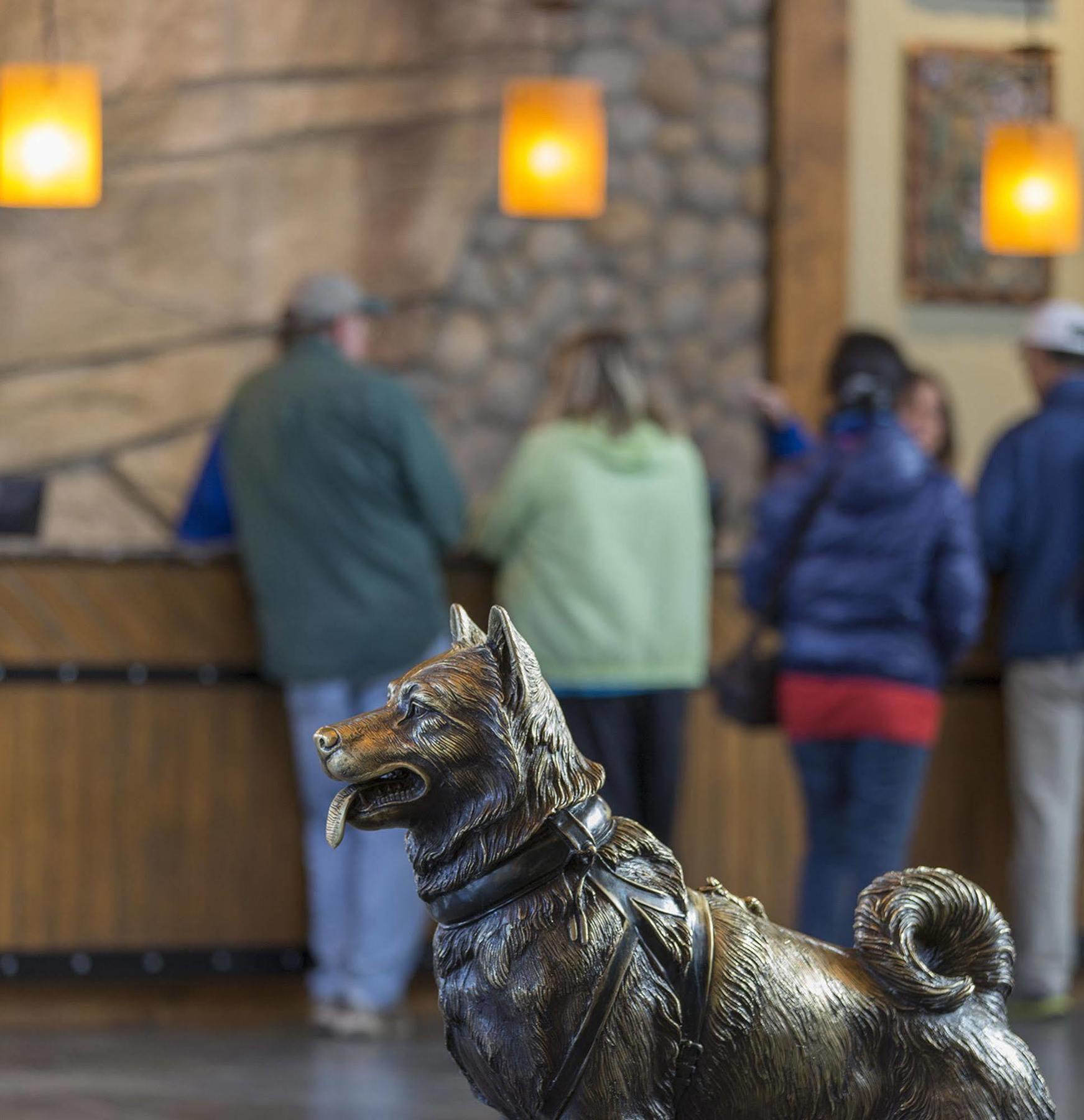 Holland America Denali Resort Denali Park