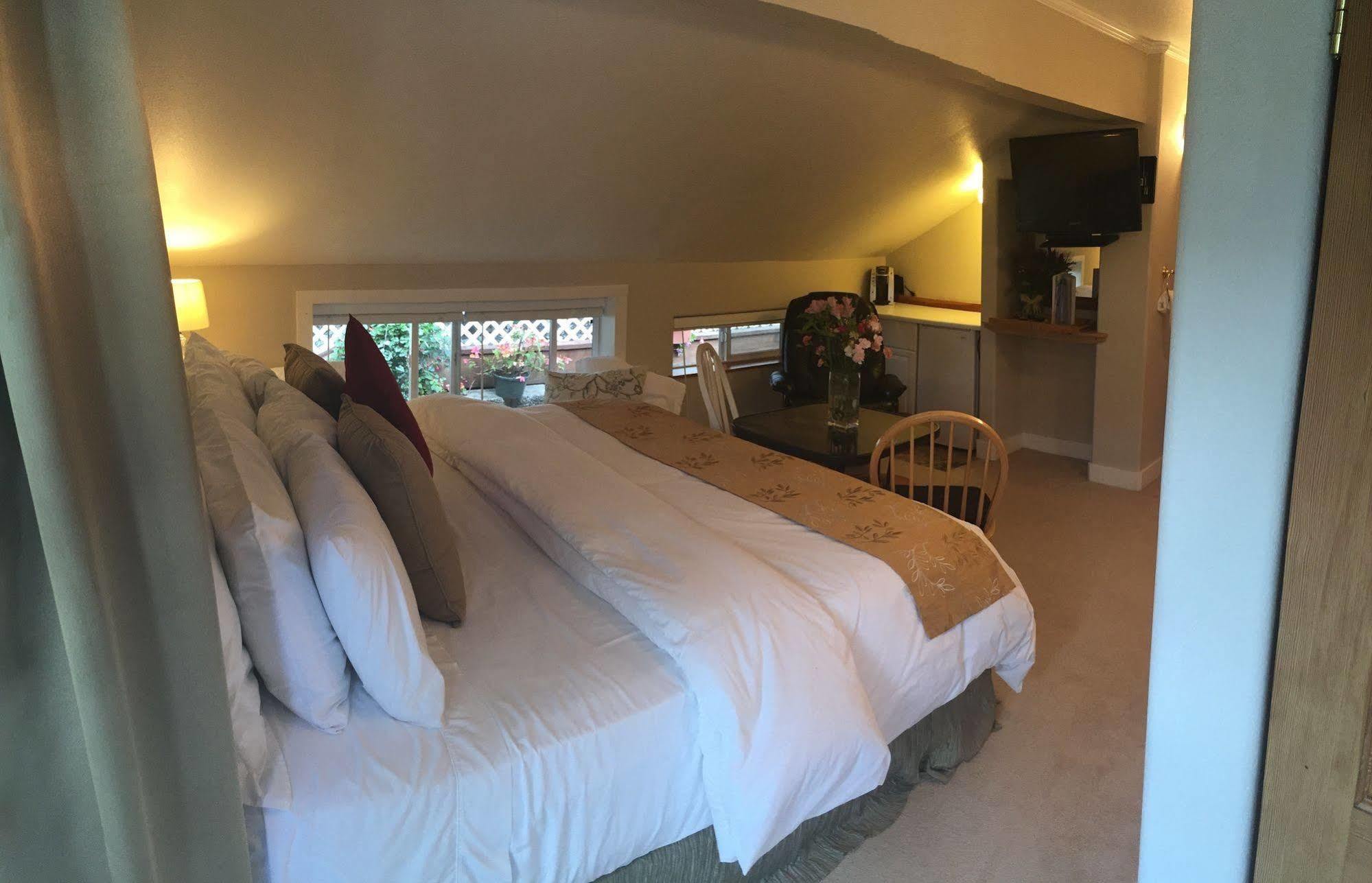 Beachside Luxury And Vacation Guest house