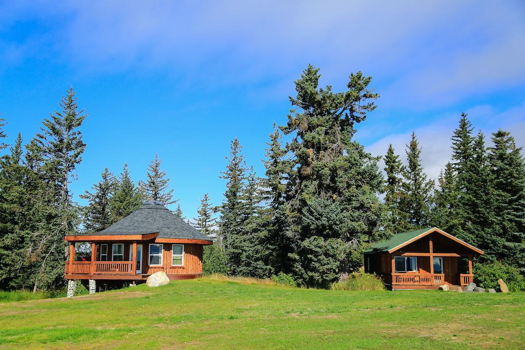 Kenai Peninsula Lodge *